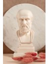 Hippocrates Bust