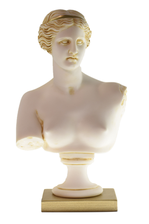 Afrodite Bust