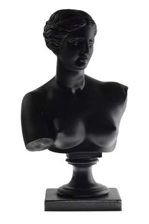 Afrodite Bust