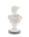 Afrodite Bust Limited
