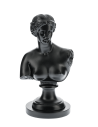 Afrodite Bust Limited