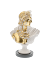Apollo Bust