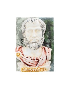 Μαγν-Σαπούνι Αριστοτέλης