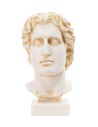 Alexander the Great Bust 15 Cm.