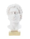 Alexander the Great Bust 15 Cm.